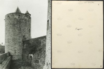 19