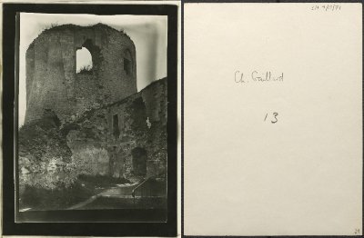 29