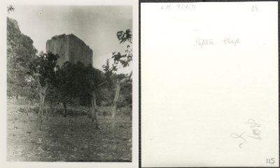 125