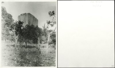 126