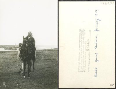 29