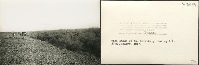 53