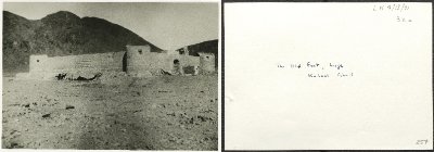 104
